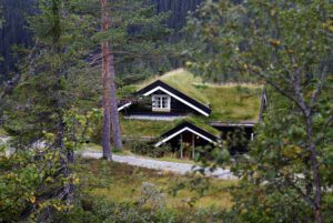 Het aanvragen van een voorlopige aanslag na het verkrijgen van een hypotheek verlaagt direct je maandlasten, maar veel mensen zien door de bomen het bos niet meer wat betreft de zaken die ze moeten regelen voor hun hypotheek. Om dat te ondersteunen, staat op deze foto een huisje verscholen in de bossen.